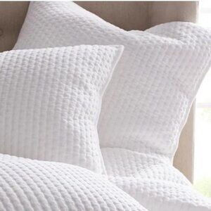 The Company Store Legends Luxury Paloma Luxe Cotton Velvet Sham